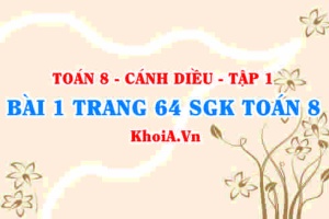 Bài 1 trang 64 SGK Toán 8 tập 1 Cánh Diều